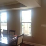 Huper Optik Silver Tint 4 1