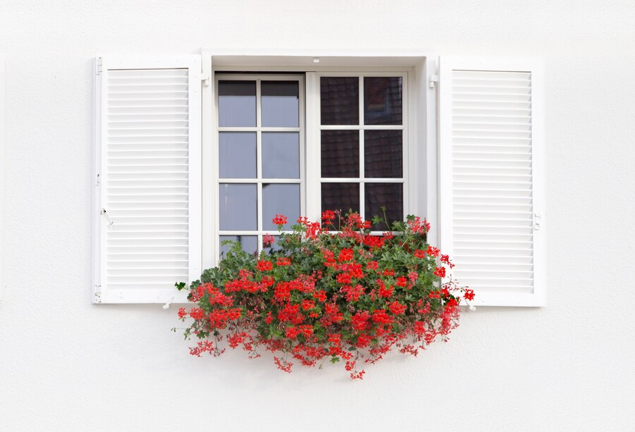 Decorative Window Tint